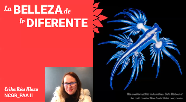 102.- La Belleza de lo Diferente - 5 Febrero 2023